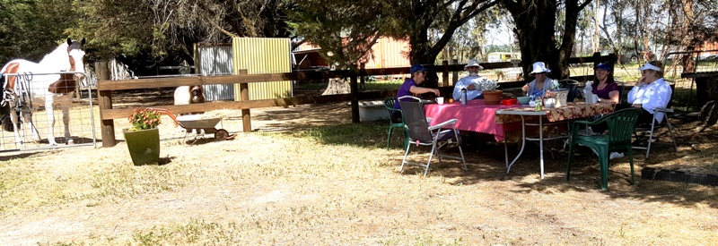 A group of people sit around a table in the shade while horses stand in the background